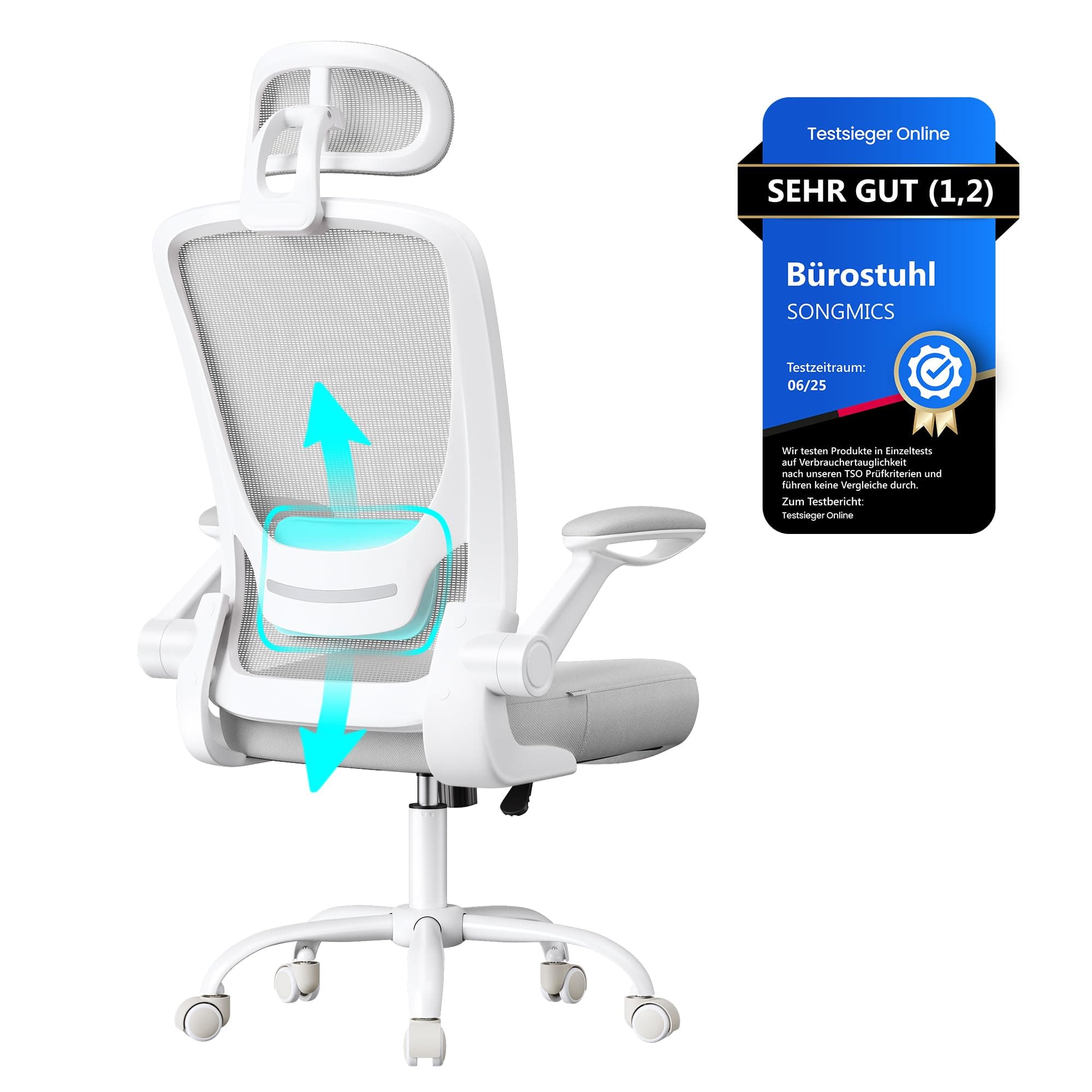 SONGMICS Bürostuhl ergonomisch, Drehstuhl mit Mesh, Lenden- und Kopfstütze, Wippfunktion, 53 cm große Sitzfläche, klappbare Armlehnen, Arbeits- und Schlafzimmer, Studenten, Taubengrau OBN047G01