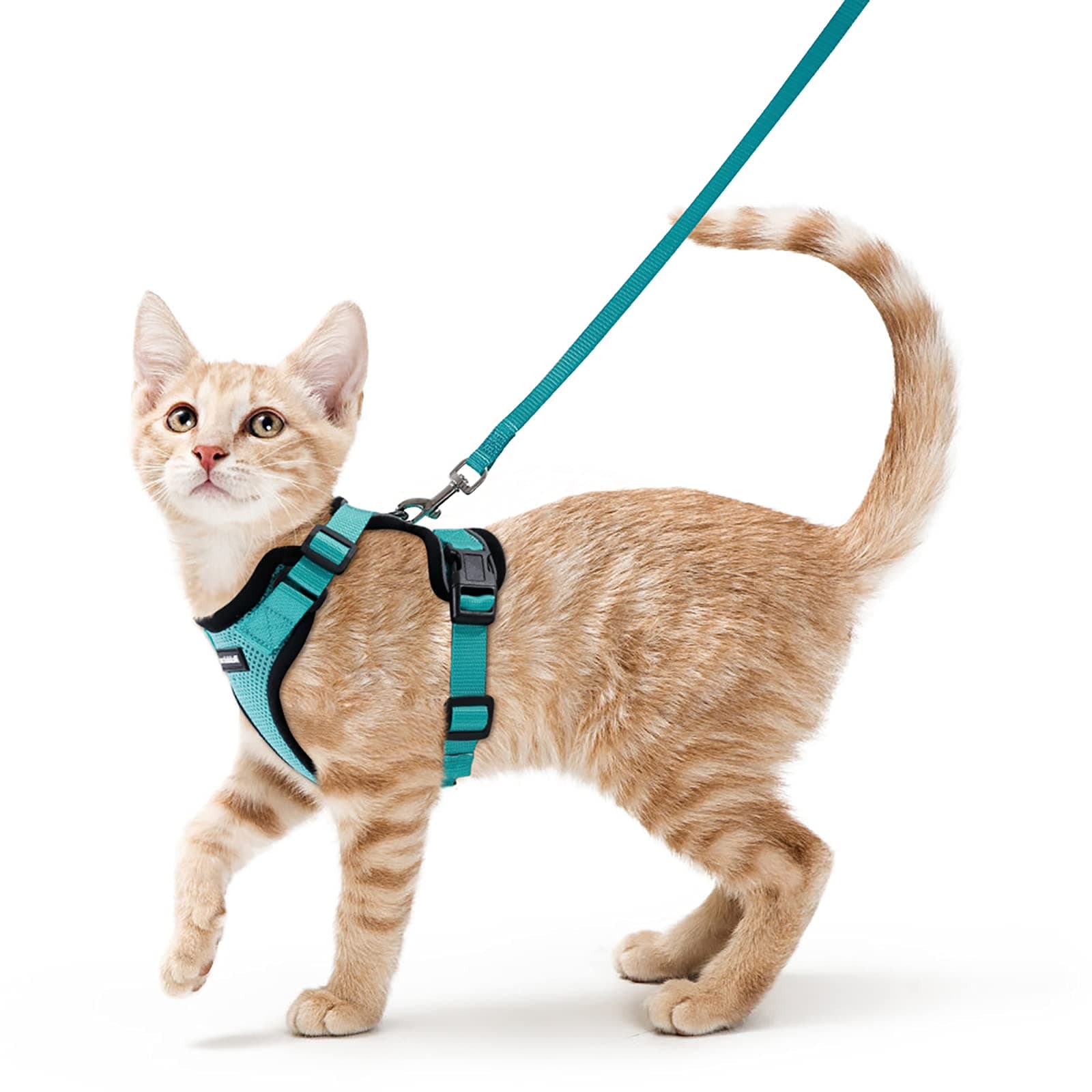 rabbitgoo Arnes para Gatos Antiescape con Correa 150cm, Arnes Gato Ajustable Reflectante, Chaleco de Tela de Malla Suave y Transpirable, Arnés Gato Pequeño para Caminar Entrenar, XS, Verde
