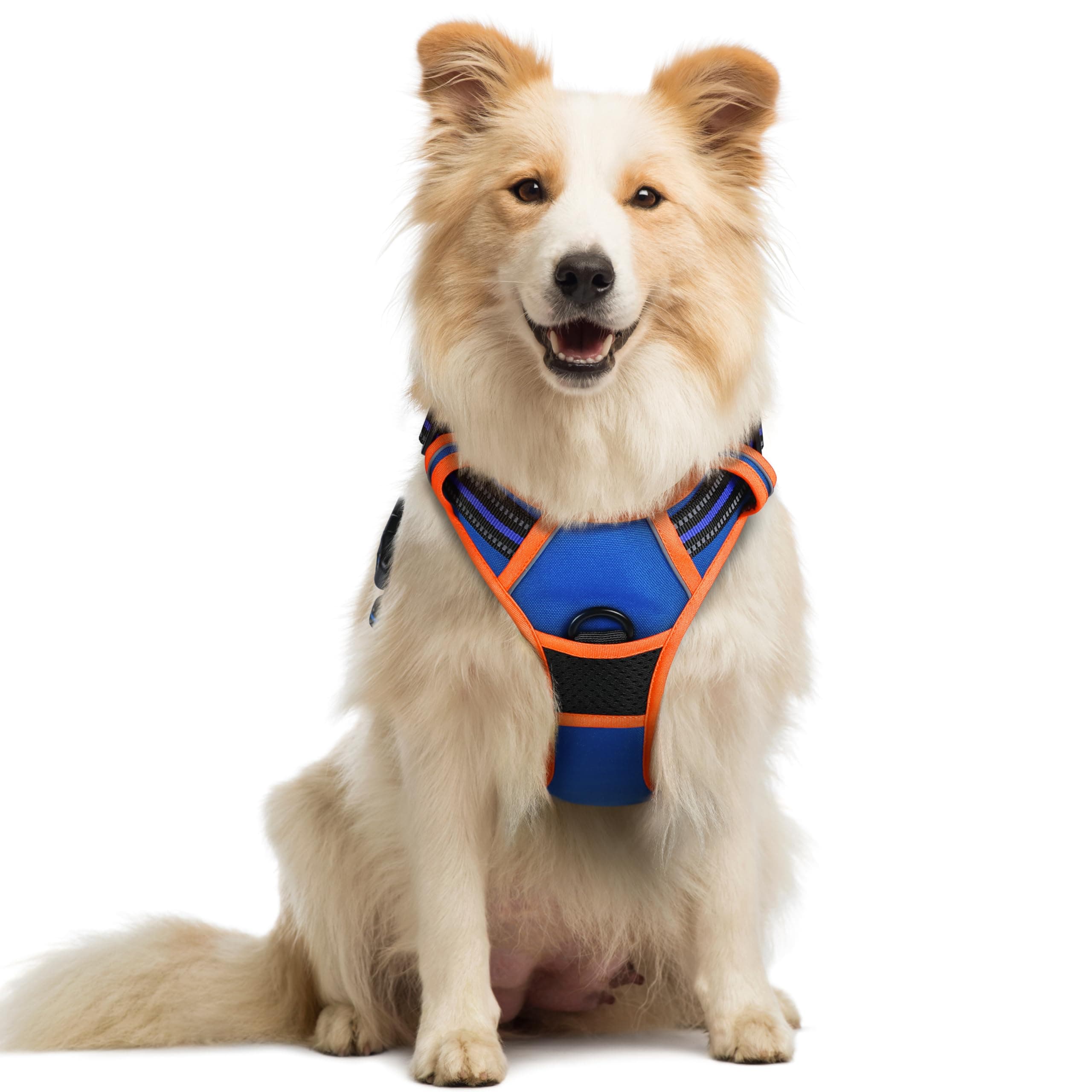 rabbitgoo Arnes Perro Mediano, Arnes Perro Antitirones Coche con Lineas Reflecantes, Chaleco Perros Acolchado Ajustable Transpirable con Asa y Anillos para Adiesreamiento Tamaño M, Azul y Naranja