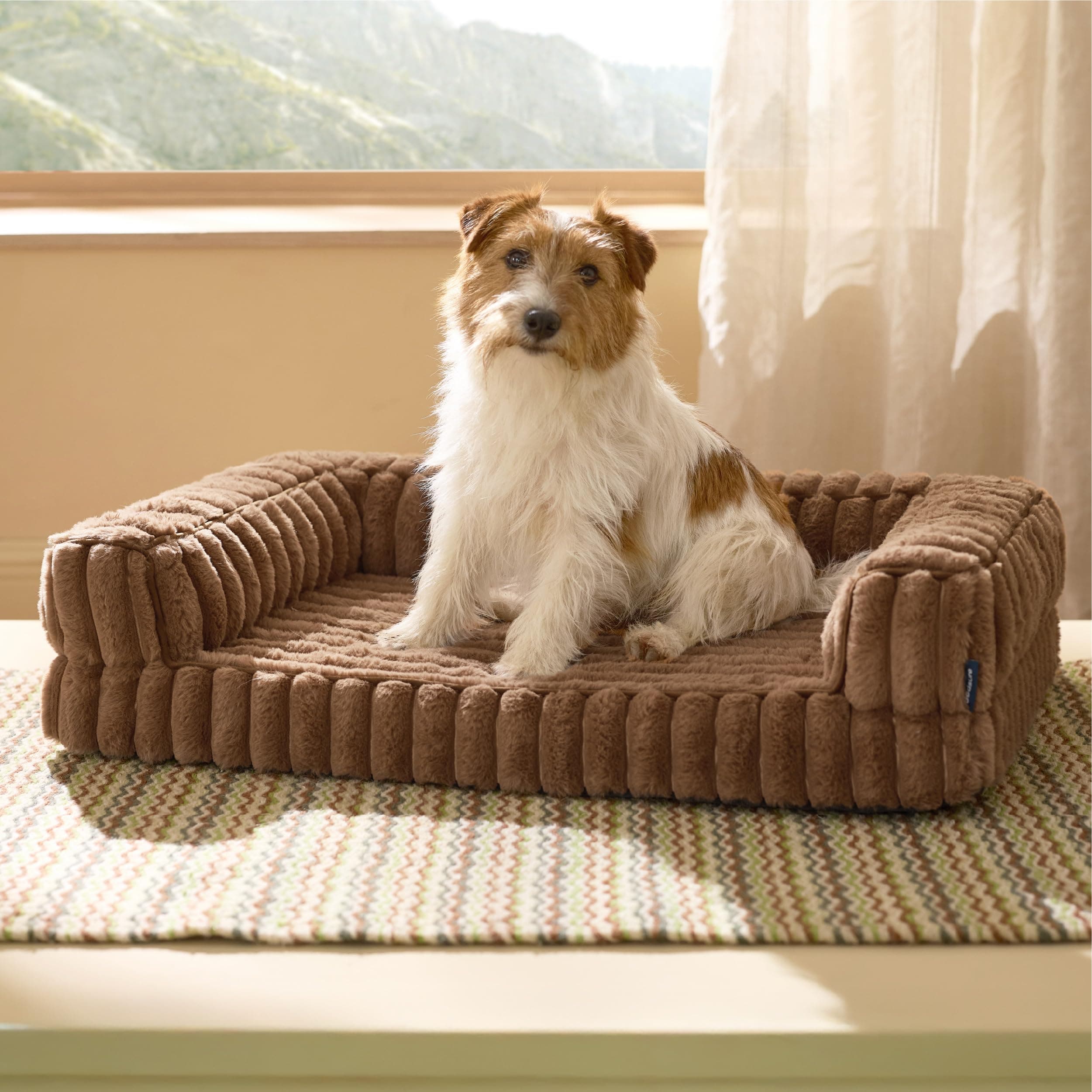 Bedsure Cuccia Ortopedica per Cani Media - 76x51x16,5cm Letto Ortopedico in Memory Foam con Bordi, Impermeabile, Base Antiscivolo e Fodera in Velluto a Coste Sfoderabile, Marrone cammello
