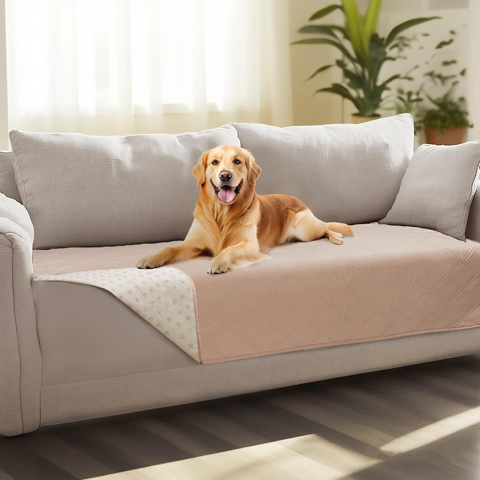 luciphia Copridivano per Cani Impermeabile, Coperta per Cani 100% Impermeabile con Punti Antiscivolo Tappetino Protezione per Mobili Bambini Cane Gatti Lavaggio in Lavatrice Beige kaki 76_x_178cm