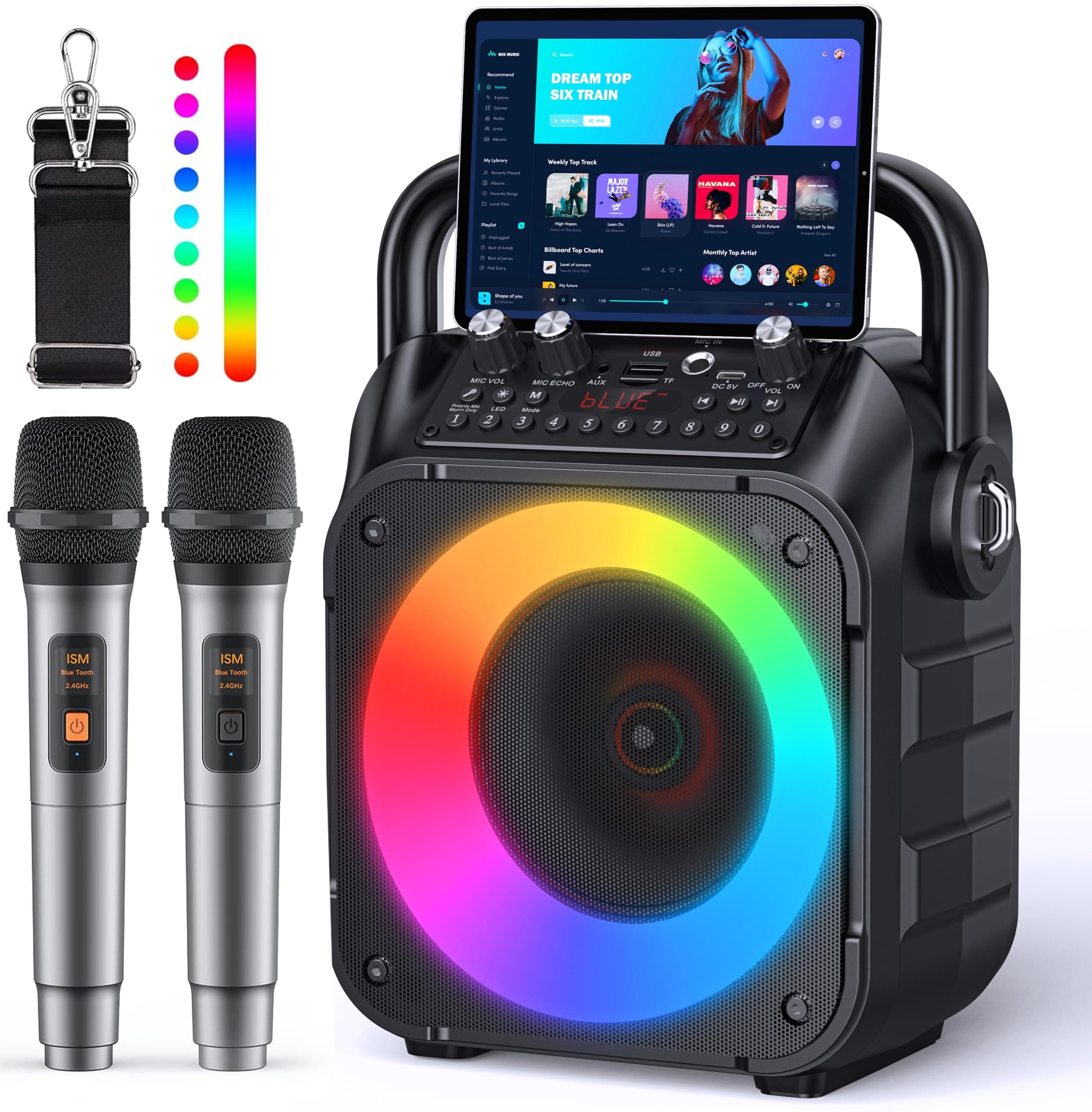 Karaoke Adulte, Haut-Parleur Bluetooth Portable Karaoke pour Adultes avec 2 Microphones sans Fil, Système PA pour Adultes et Enfants avec Lumières LED pour Les Fêtes (Noir)