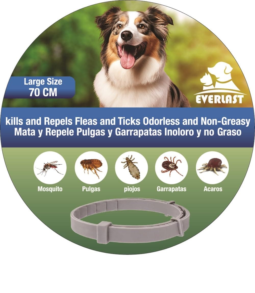 Tempotech® Collar Antiparasitario Perro 100% Natural - Antipulgas Antigarrapatas - Varios Modelos, Tallas y Colores - Hasta 8 Meses - Repele Pulgas, Garrapatas, Mosquitos, Ácaros y Piojos (1 Und 70cm)